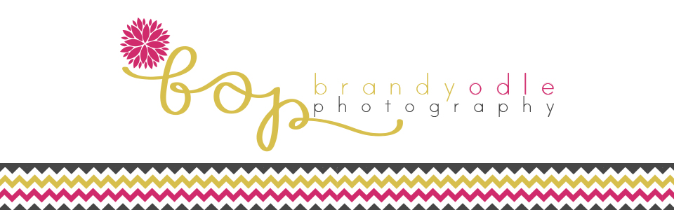 Brandy Odle Photography